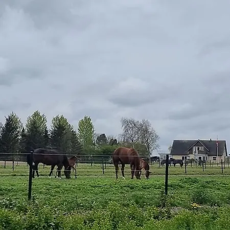 Family-friendly House Close To Aarhus
