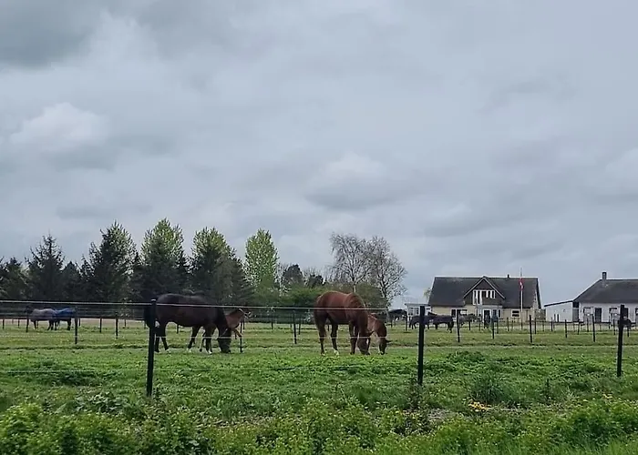 Family-friendly House Close To Aarhus